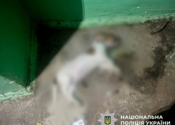 Викинула собаку з вікна багатоповерхівки