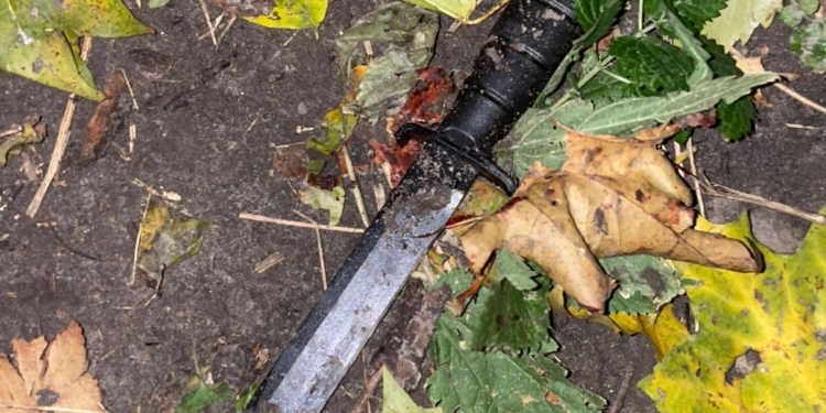 Зловмисник вбив перехожого на Замковій горі