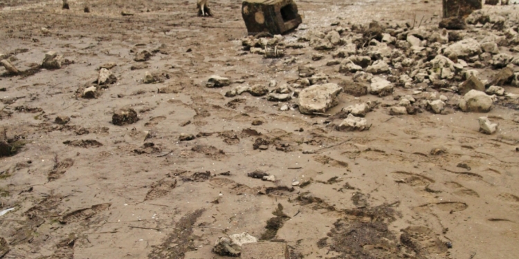 Село Стара Ушиця виринула з-під води
