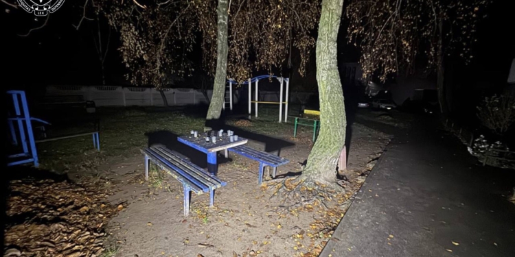 Молодик на Київщині поранив ножем хлопця