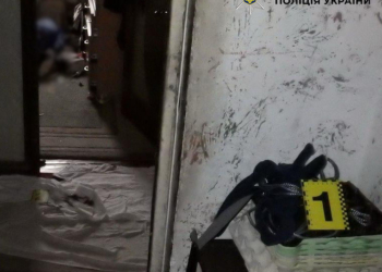 Киянин задушив 89-річну бабусю