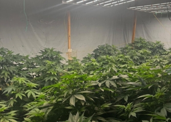 Підвальну нарколабораторію охороняли з автоматами