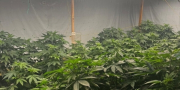 Підвальну нарколабораторію охороняли з автоматами