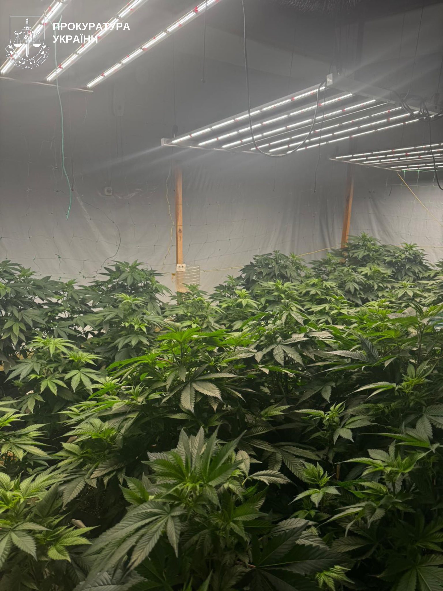 Підвальну нарколабораторію охороняли з автоматами