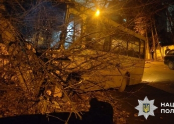 Викрав автобус та в'їхав на ньому в Mercedes