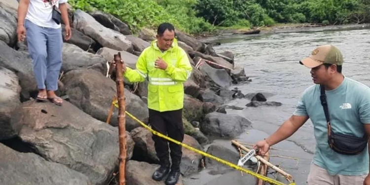 Розчленовані рештки на пляжі Балі