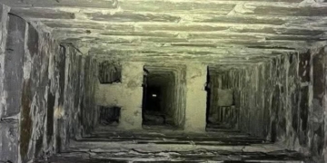 У Києві визволили кота з вентиляційної шахти багатоповерхівки