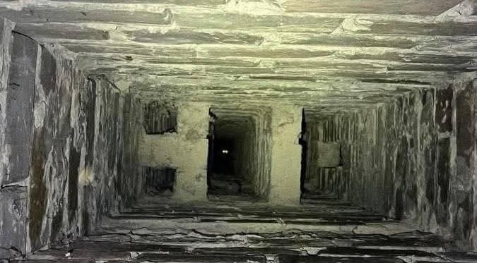 У Києві визволили кота з вентиляційної шахти багатоповерхівки