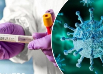 Новий штам коронавірусу «Цикада» (BA.3.2): симптоми, поширення та загроза для дітей