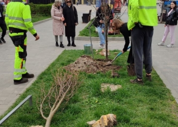 Акція «Підтримай ЗСУ — посади іменне дерево» у Тернополі: озеленення та дрони для фронту