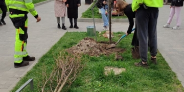 Акція «Підтримай ЗСУ — посади іменне дерево» у Тернополі: озеленення та дрони для фронту