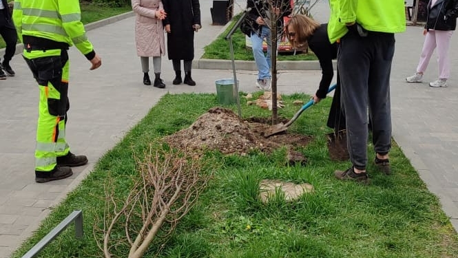 Акція «Підтримай ЗСУ — посади іменне дерево» у Тернополі: озеленення та дрони для фронту