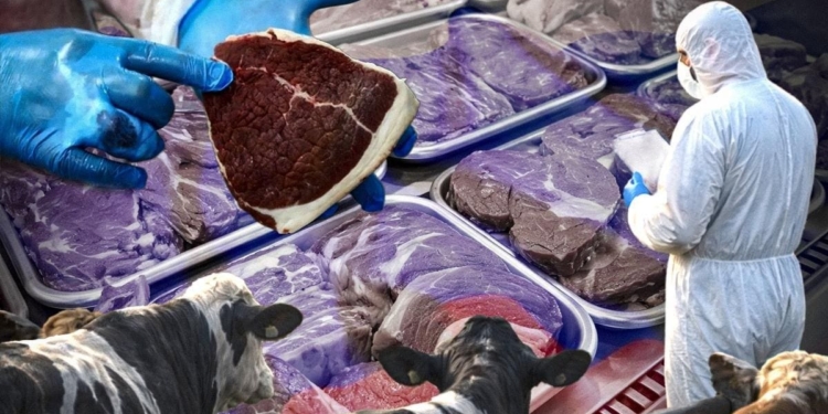 У Росії масово знищують господарства з худобою