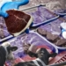 У Росії масово знищують господарства з худобою