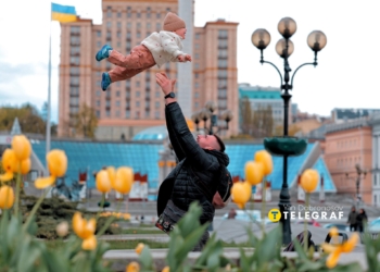 Жовтий океан на Майдані Незалежності: Київ святкує весну рекордним цвітінням тюльпанів