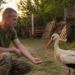 Крилатий талісман: до артилеристів 50-ї бригади з Тернопільщини на передову щодня прилітає лелека