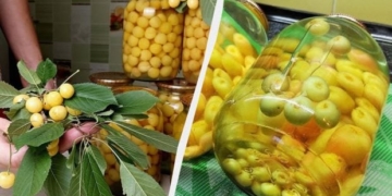 Як приготувати смачний компот із черешні та липи