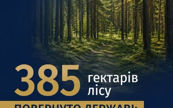 На Київщині державі повернули 385 га лісових земель
