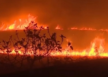 Зміна клімату зробила мегапожежі в Іспанії у 20 разів частішими