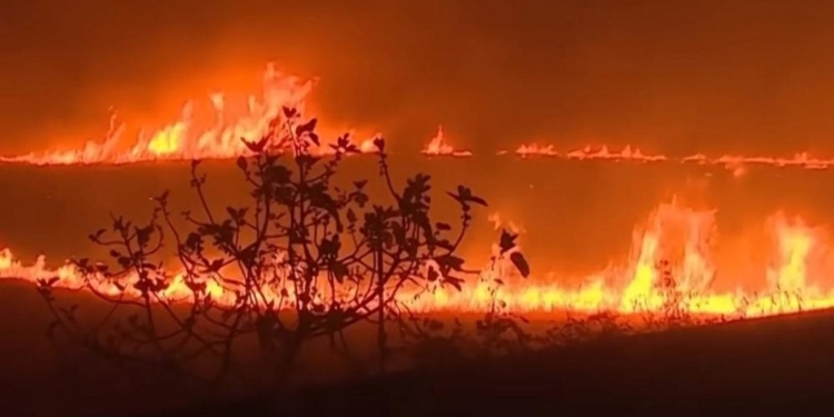 Зміна клімату зробила мегапожежі в Іспанії у 20 разів частішими