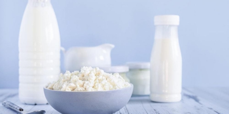 Чи корисні жирні молочні продукти: нові дані вчених