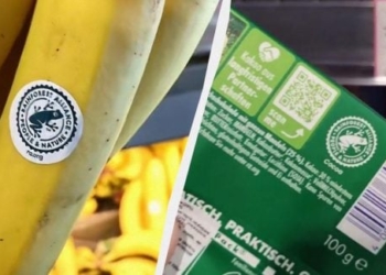 Що означає знак жаби на продуктах: правда про маркування
