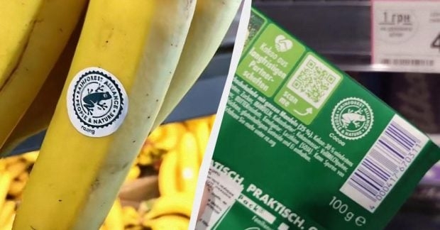Що означає знак жаби на продуктах: правда про маркування