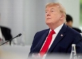 США перевіряють лояльність країн НАТО до Трампа