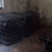 У Києві розслідують жорстоке поводження з доберманами