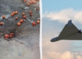 Удар по ринку на Сумщині: є поранені