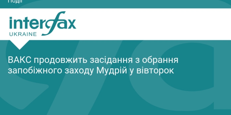 ВАКС продовжить розгляд справи Ірини Мудрої