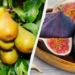 5 фруктових дерев, які легше вирощувати, ніж персики