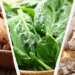 6 продуктів з більшим вмістом магнію, ніж у кеш’ю