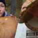 На Волині грибниця знайшла гігантські гриби