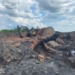 На Волині викрили схему легалізації копалин на 30 млн грн