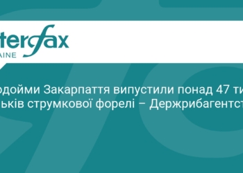 На Закарпатті у річки випустили 47 тисяч мальків форелі