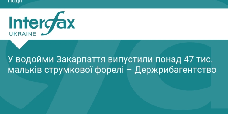 На Закарпатті у річки випустили 47 тисяч мальків форелі