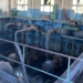 Бюджет Одеси втратив 594 млн грн через махінації з орендою