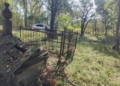 Чорнобильські кладовища стали оазисами рідкісних рослин