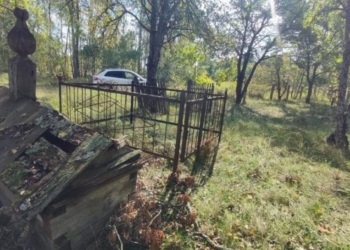 Чорнобильські кладовища стали оазисами рідкісних рослин