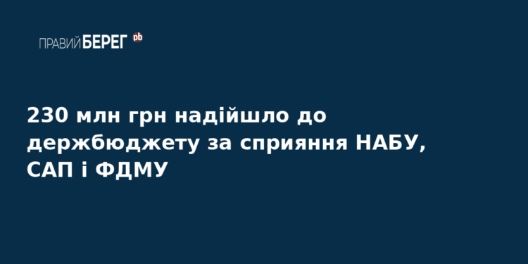 До бюджету повернули 230 млн грн завдяки роботі НАБУ
