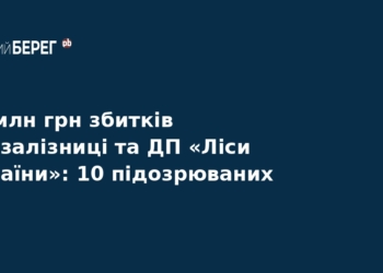 Корупція в Укрзалізниці та Лісах України: 10 підозрюваних