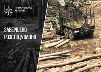 Масштабні махінації з продажем деревини в Україні