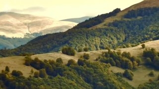 На Закарпатті захистять понад 2000 га унікальних пралісів