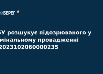 НАБУ оголосило в розшук Віктора Брагінського
