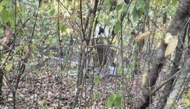 У Молдові вибухнув невідомий безпілотник