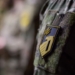 В «Азові» спростували фейк про окупацію Добропілля